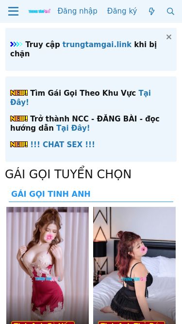 Screenshot 12/11/2024 trungtamgai9.net 