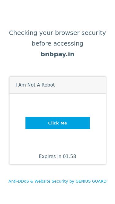 Screenshot 04/10/2024 01:21:47 bnbpay.in