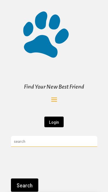 Screenshot 24/02/2025 findthebest.dog All Dogs | Find Your New Best Friend Breeders Breeders Login Search for: Breed -- Select Option -- Search Rat Terrier Bear Paw Rat Terriers 