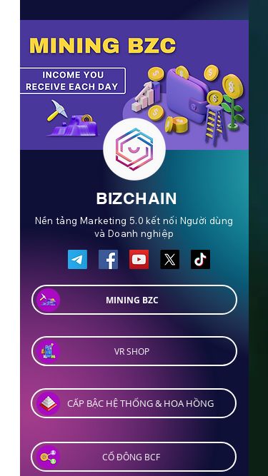 Screenshot 02/08/2024 15:09:46 bizchain.info