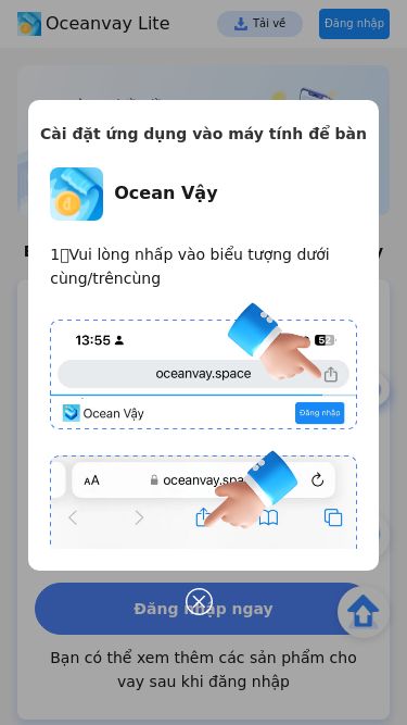 Screenshot 13/02/2025 oceanvay.space 