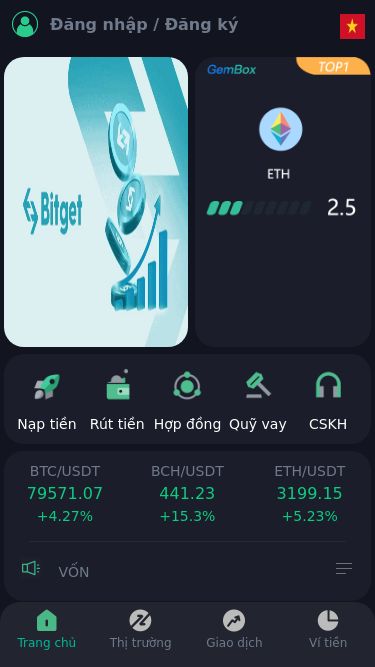 Screenshot 10/11/2024 bitgets.tradeonline.top