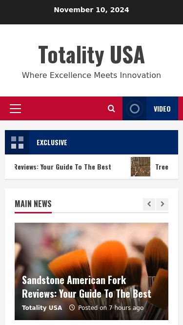 Screenshot 11/11/2024 totalityusa.com