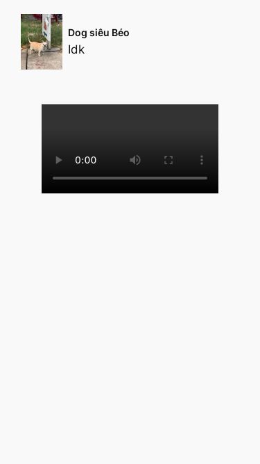 Screenshot 11/05/2025 chimtodeptrai123.unaux.com Dog siêu Béo – TaoDepTrai Skip to content Dog siêu Béo Idk