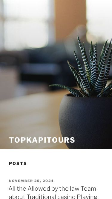 Screenshot 25/11/2024 topkapitours.xyz