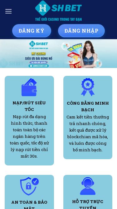 Screenshot 03/11/2025 syb22q1gl.za.com SHBET 