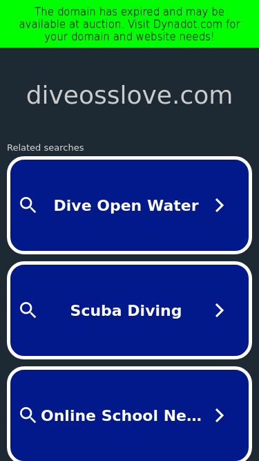 Screenshot 08/08/2024 16:55:10 diveosslove.com