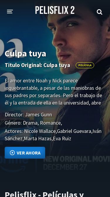 Screenshot 30/12/2024 pelisflix2.pw