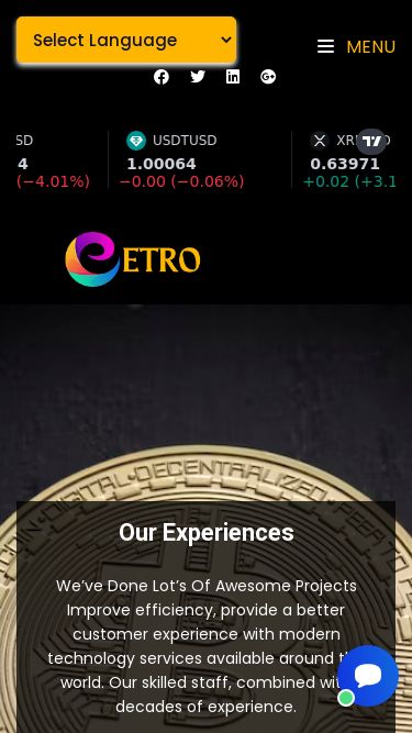 Screenshot 12/11/2024 etro.ltd