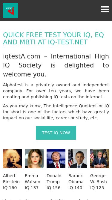 Screenshot 02/02/2025 iq-test.net