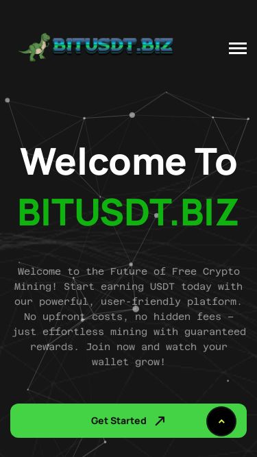 Screenshot 27/01/2025 bitusdt.biz