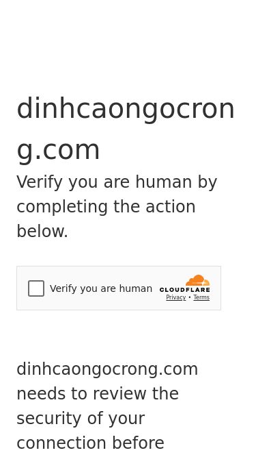 Screenshot 23/05/2025 dinhcaongocrong.com Just a moment... dinhcaongocrong.com Verify you are human by completing the action below. dinhcaongocrong.com needs to review the security of your connection before proceeding. Verification successful Waiting for dinhcaongocrong.com to respond... Ray ID: 94448707da10072d Performance & security by Cloudflare