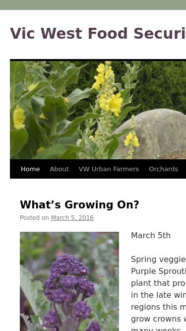 Screenshot 26/05/2025 vicwestfoodsecurity.org Vic West Food Security Collective | …cultivating community by growing and sharing food Vic West Food Security Collective …cultivating community by growing and sharing food Skip to content Home About VW Urban Farmers About VWUF Resources Events Corn Roasts Coop Scoop Orchards About Orchards Evans Orchard Banfield Park Orchard Hereward Park Orchard Gardens About Gardens Tea Garden Banfield Commons Rayn or Shine Garden Community Kitchens About Community Kitchens Potluck Dinners Potluck Posters Contact Link