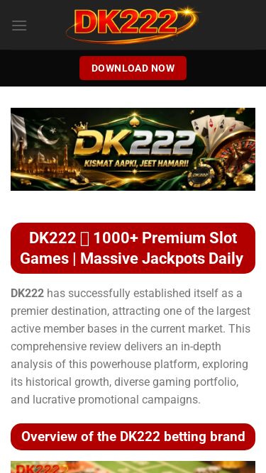 Screenshot 25/06/2026 dk222pk.com DK222 