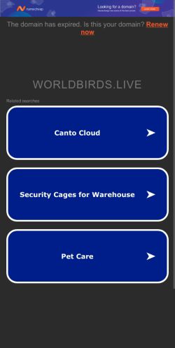 Screenshot 10/08/2024 11:20:53 worldbirds.live