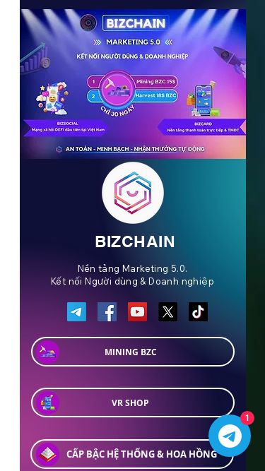 Screenshot 03/09/2024 01:00:21 bizchain.info