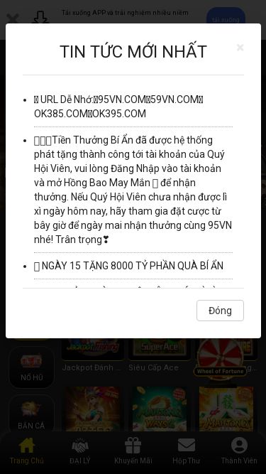Screenshot 13/01/2025 vipvnd.top 