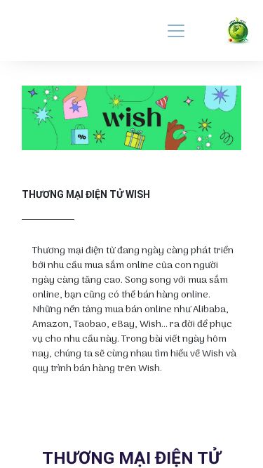 Screenshot 30/08/2024 08:39:05 kinhdoanh-wish.tempisite.com