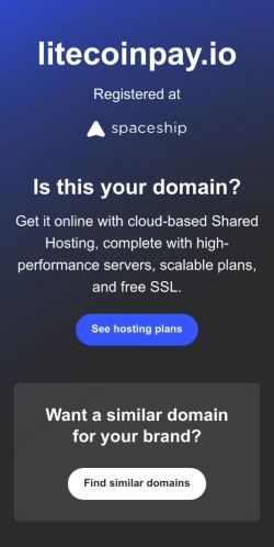 Screenshot 03/07/2024 04:07:11 litecoinpay.io