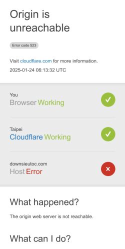 Screenshot 24/01/2025 downsieutoc.com 