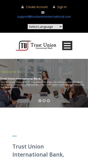 Screenshot 11/10/2024 09:47:05 trustunioninternational.com